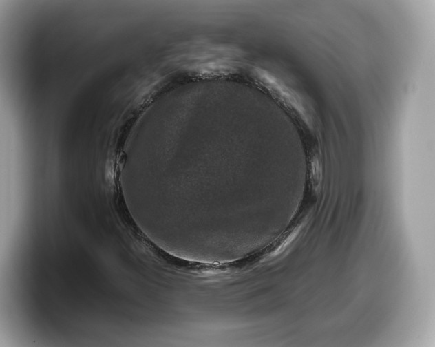 X0000099571300200805301533