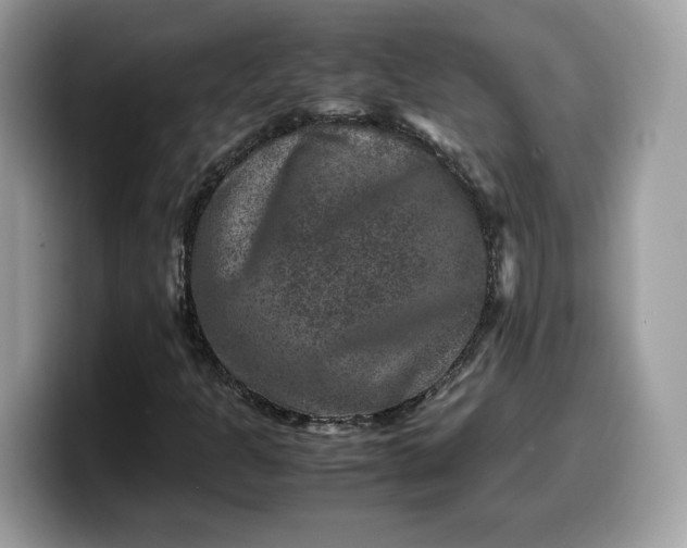 X0000099571301200805301533