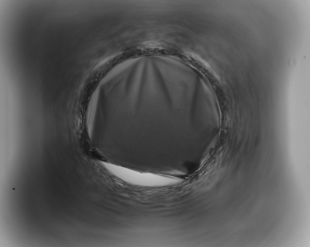 X0000099571303200805301533