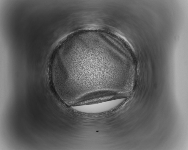 X0000099571304200805301533