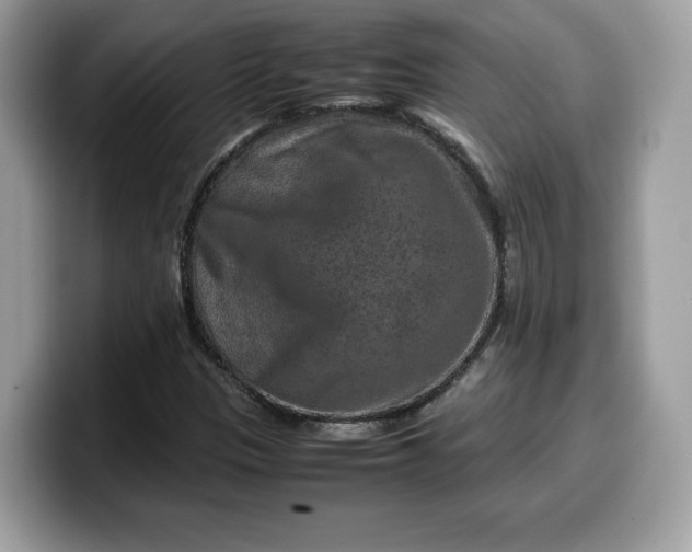 X0000099571305200805301533
