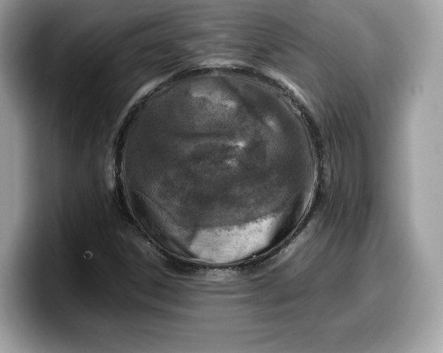 X0000099571306200805301533
