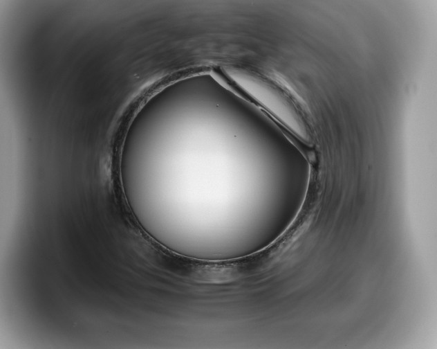 X0000099571307200805301533