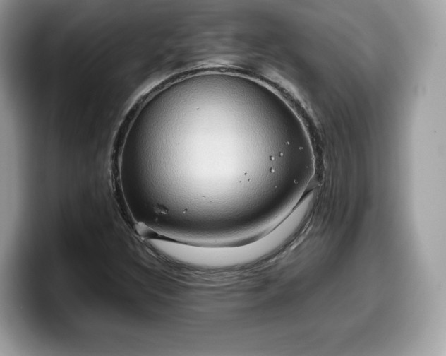 X0000099571308200805301533