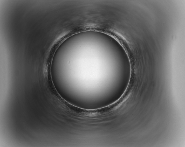 X0000099571309200805301533