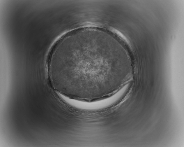 X0000099571310200805301533