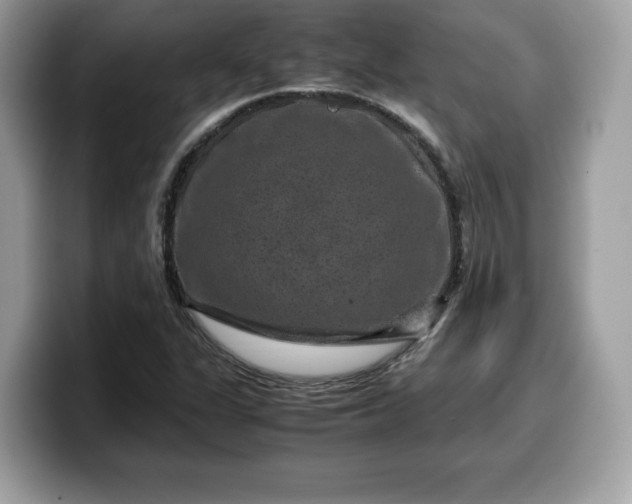 X0000099571311200805301533