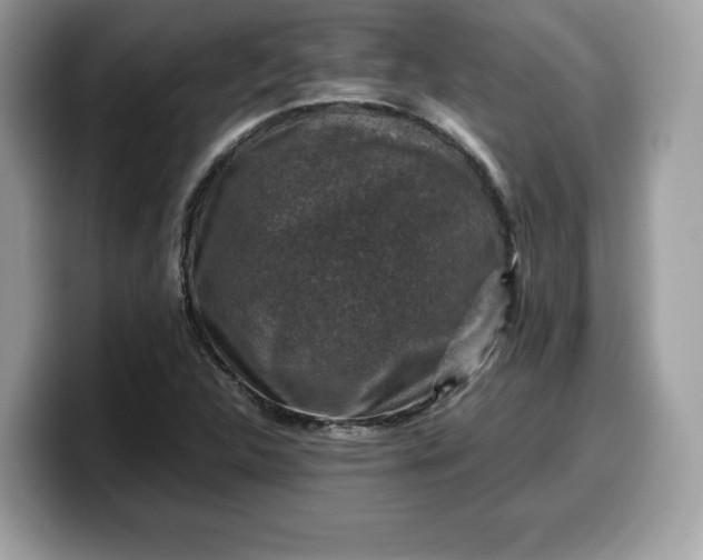 X0000099571312200805301533