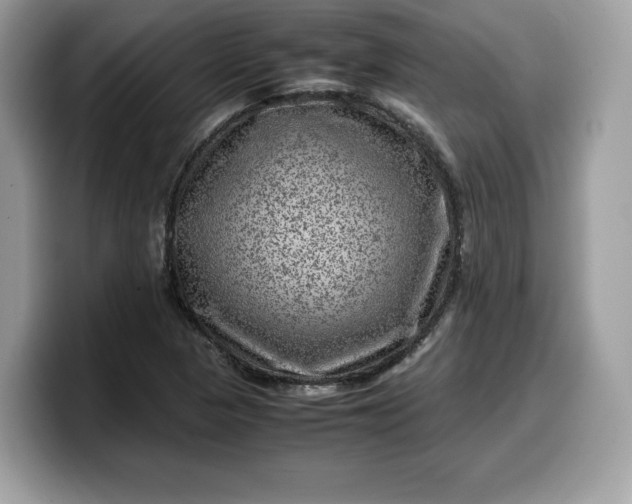 X0000099571313200805301533