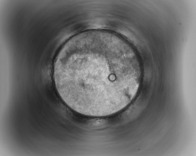X0000099571314200805301533