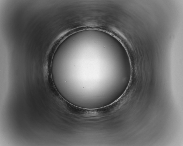 X0000099571315200805301533