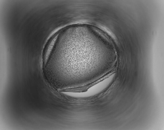 X0000099571316200805301533