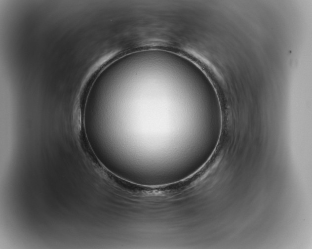 X0000099571317200805301533
