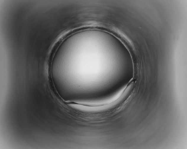 X0000099571318200805301533