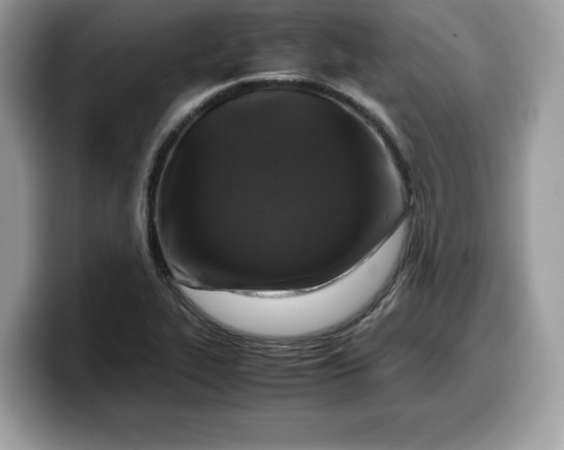 X0000099571319200805301533