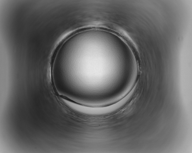 X0000099571320200805301533