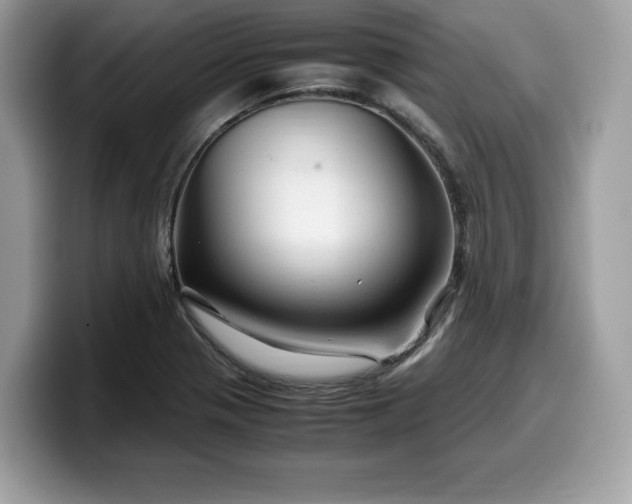 X0000099571321200805301533