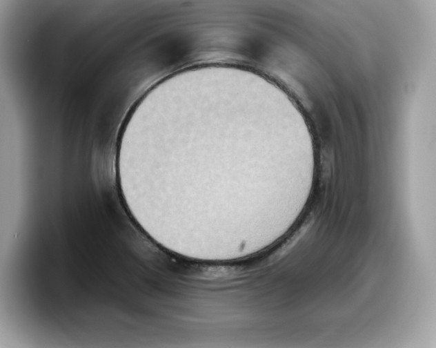 X0000099571322200805301533