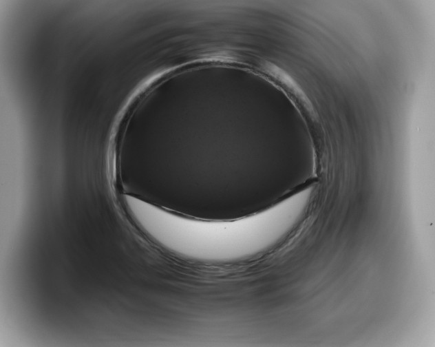 X0000099571323200805301533