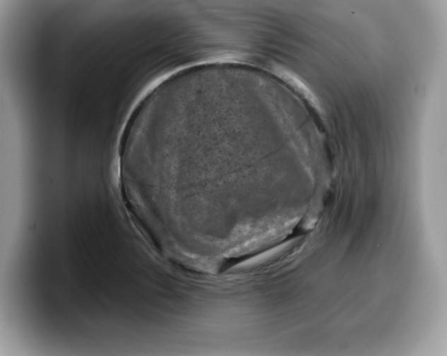 X0000099571324200805301533