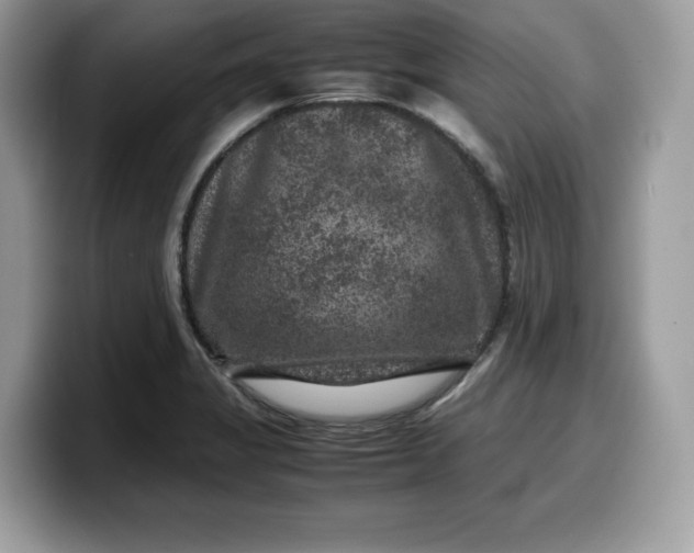X0000099571325200805301533