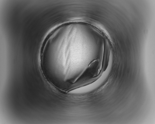 X0000099571328200805301533