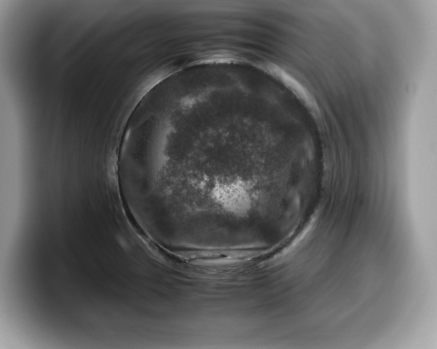 X0000099571329200805301533