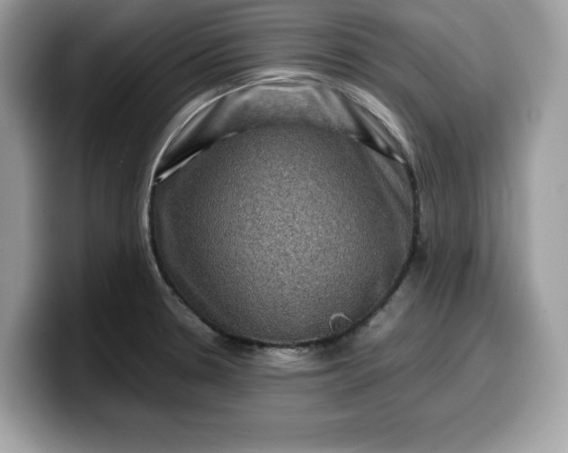 X0000099571330200805301533