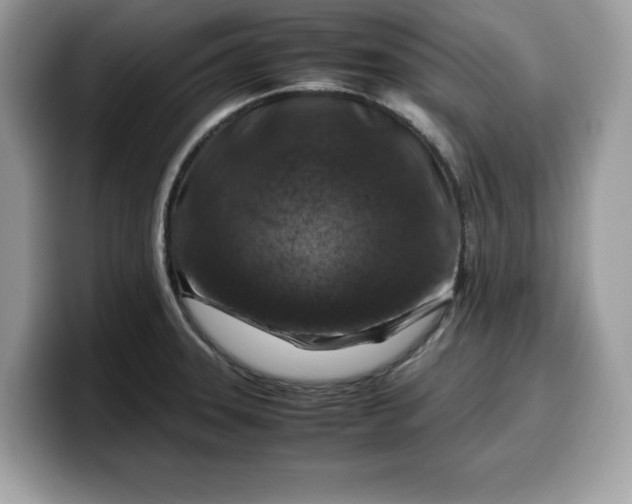X0000099571331200805301533