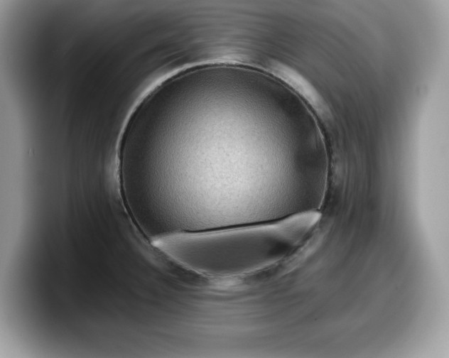X0000099571332200805301533