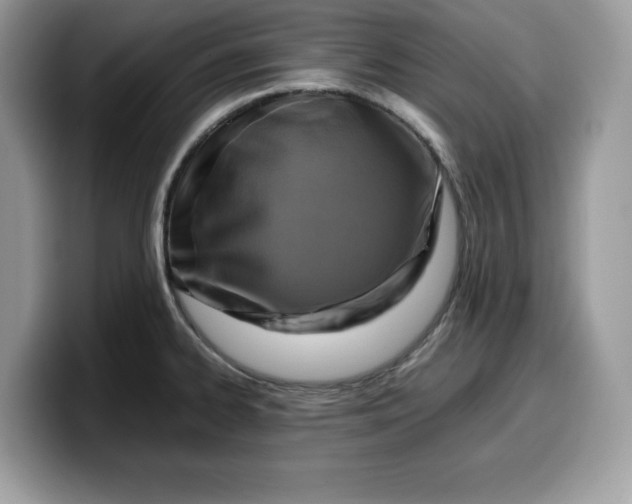 X0000099571334200805301533