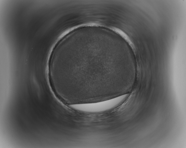 X0000099571335200805301533
