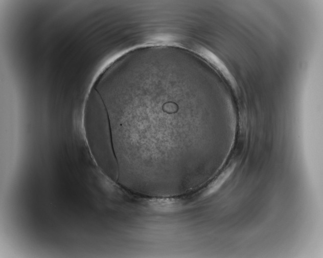 X0000099571336200805301533
