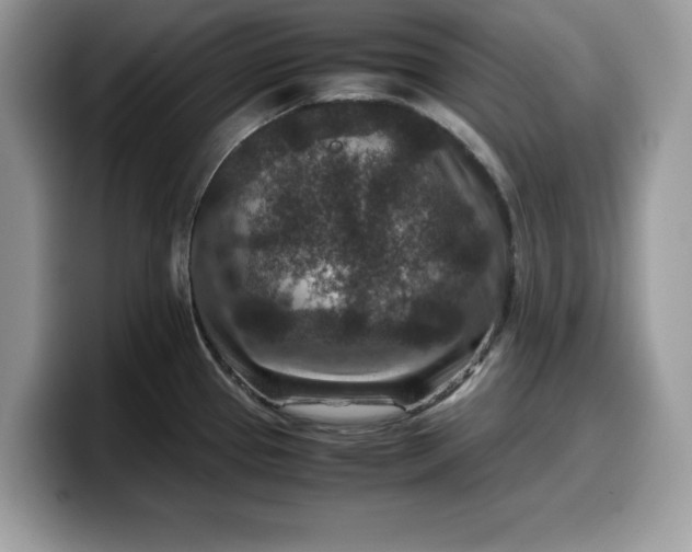 X0000099571337200805301533