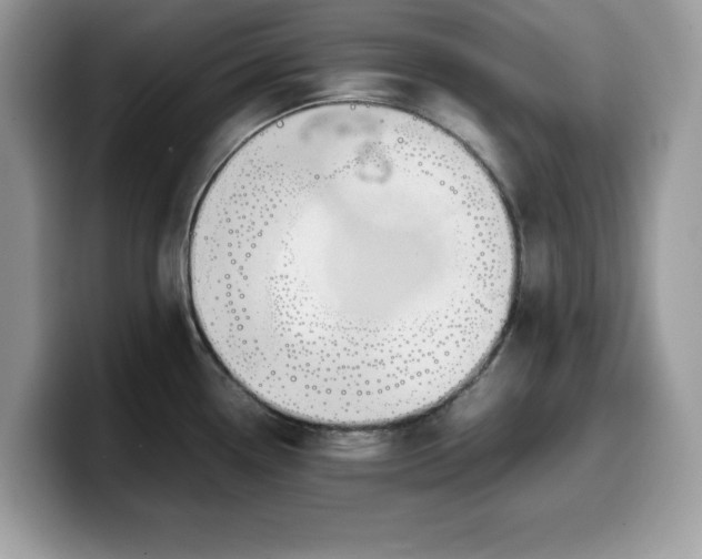 X0000099571338200805301533