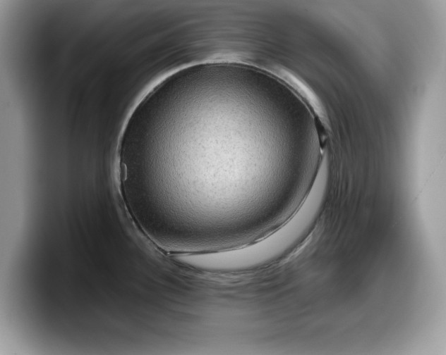 X0000099571340200805301533