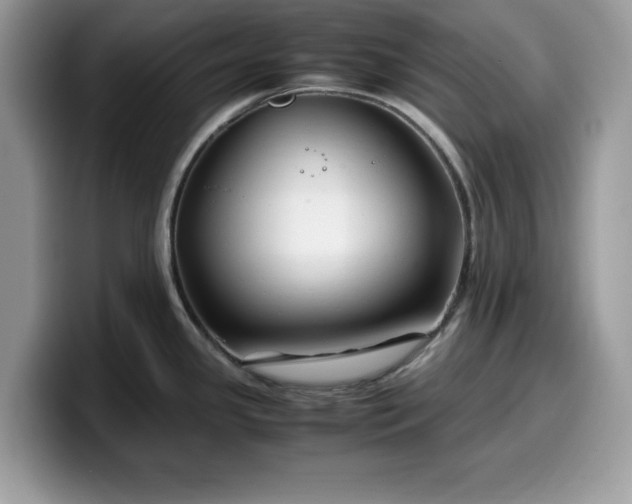 X0000099571341200805301533