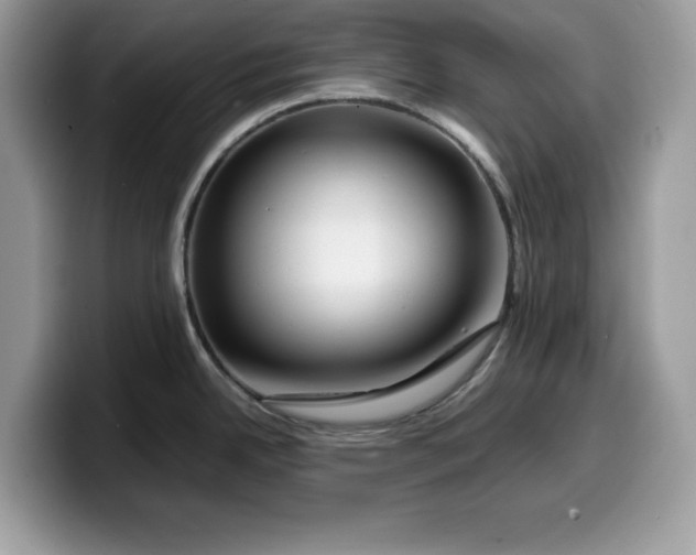 X0000099571342200805301533