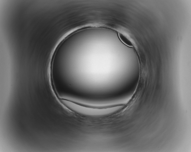 X0000099571343200805301533