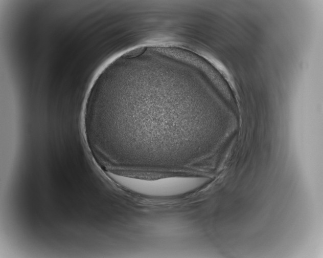 X0000099571344200805301533