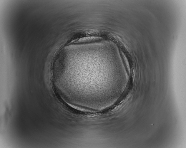 X0000099571345200805301532