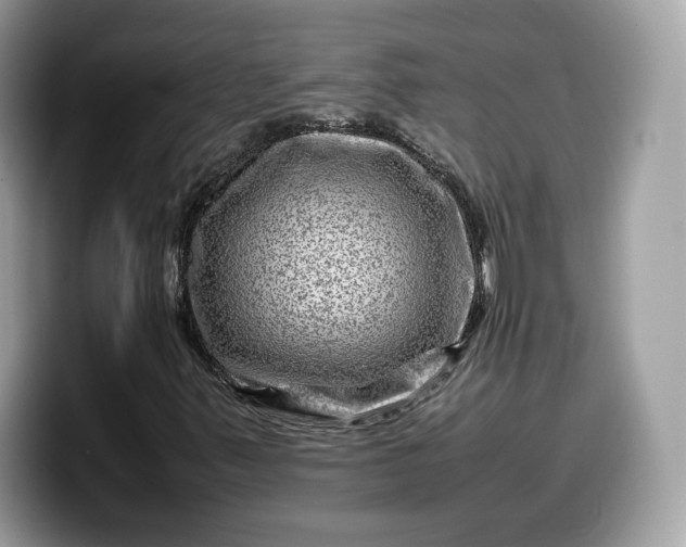 X0000099571347200805301532