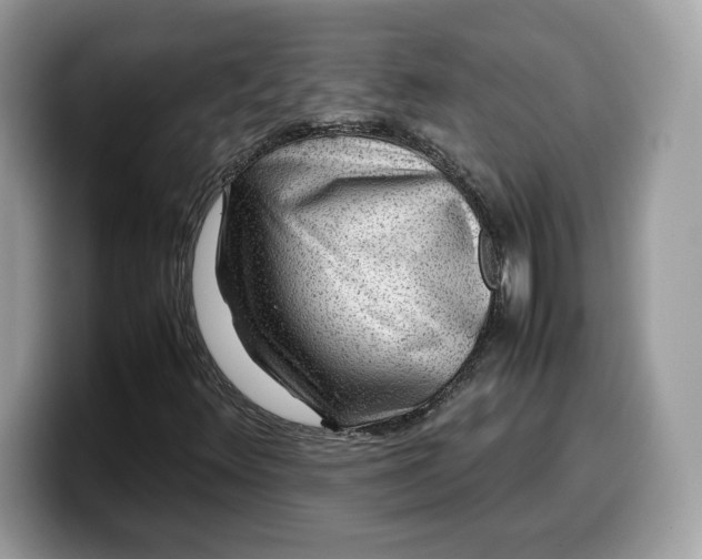 X0000099571348200805301532