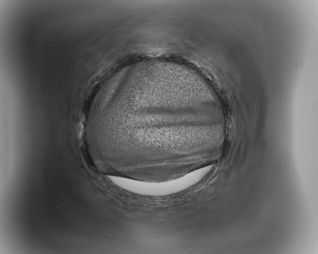 X0000099571349200805301532