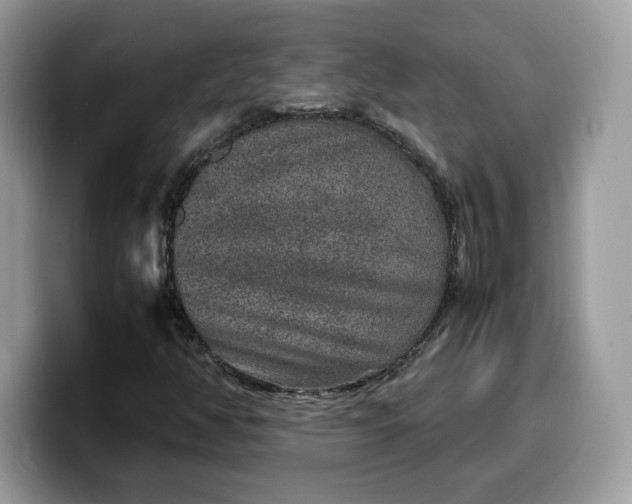 X0000099571350200805301532