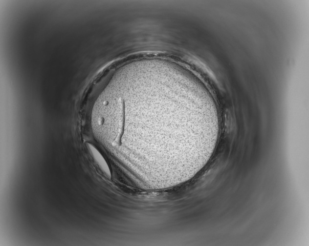 X0000099571352200805301532