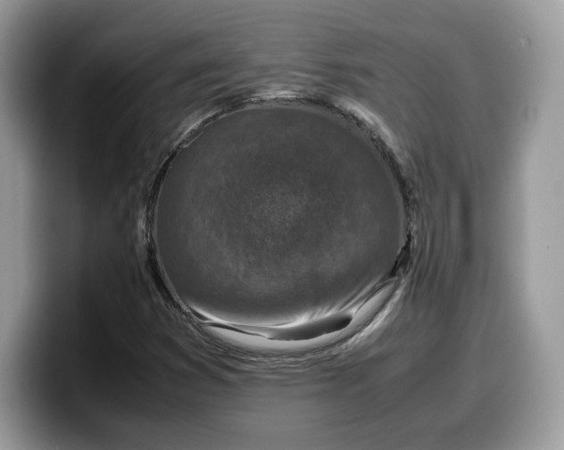 X0000099571353200805301532