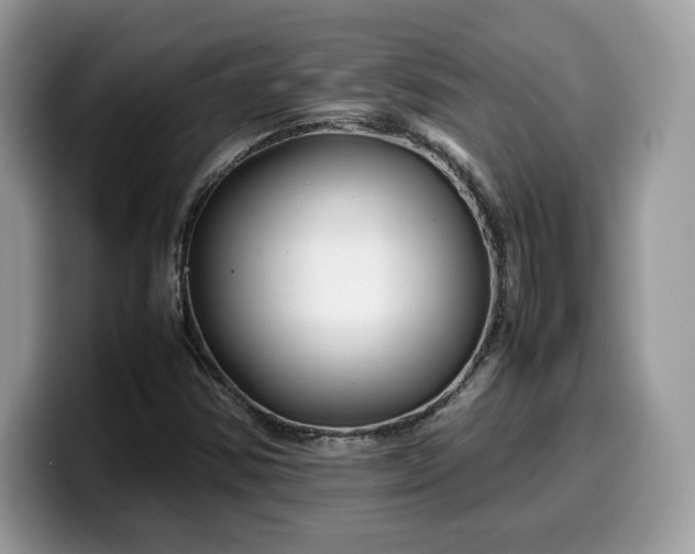 X0000099571354200805301532