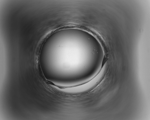 X0000099571355200805301532