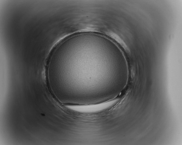 X0000099571356200805301532
